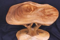 5: Elm Tree-Table 