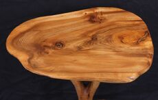 8: Elm Tree-Table