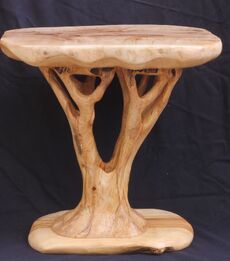 Hollow Sycamore Tree-Table 