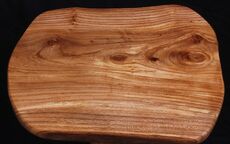 4: Elm Tree_Table 