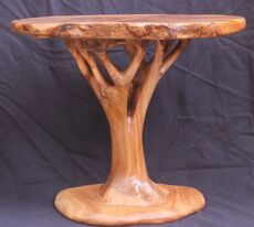 6: Burr Elm Tree-Table 