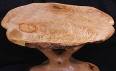 Sycamore Tree-Table (coffee table)