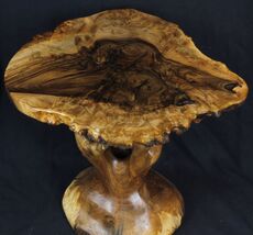Burr walnut top