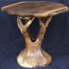 Hollow Walnut Tree-Table